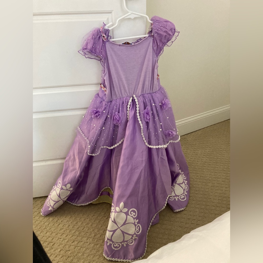 Sofia the first costume